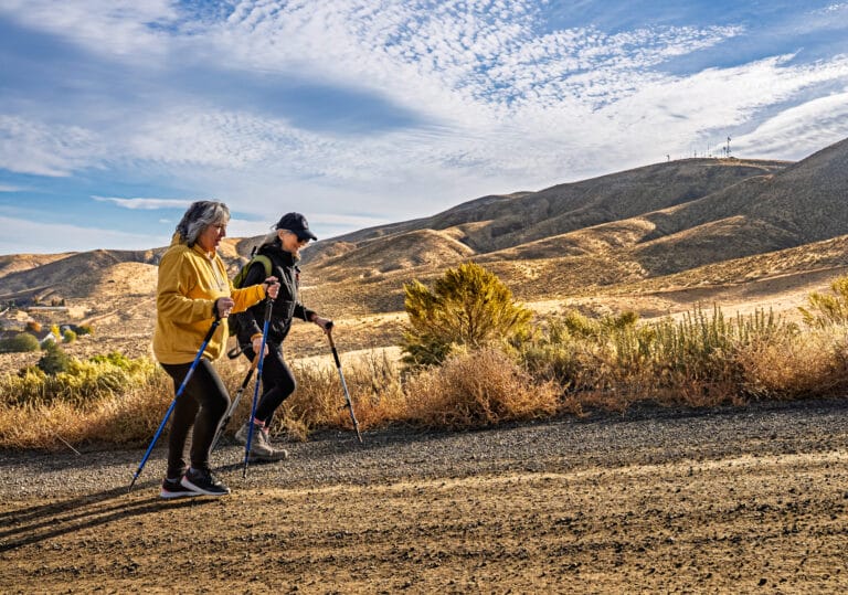 Two hikers with poles on a sunny trail.