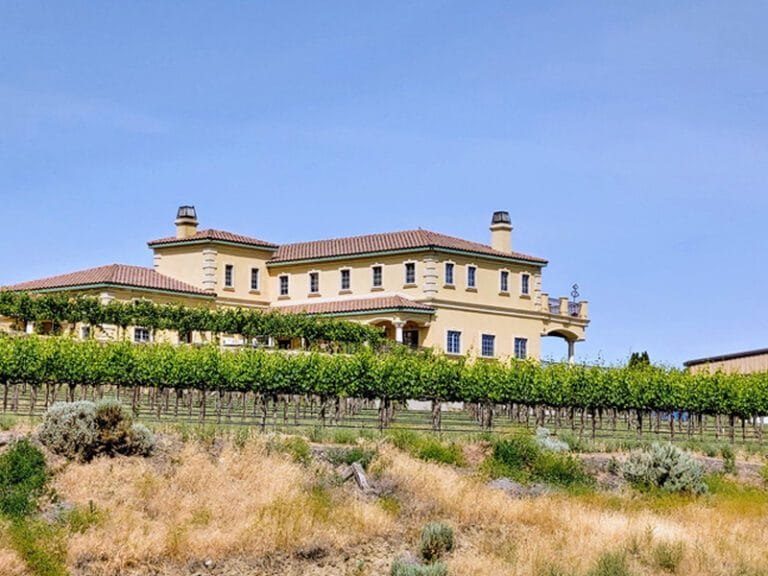 Chandler Reach Winery exterior with vineyard