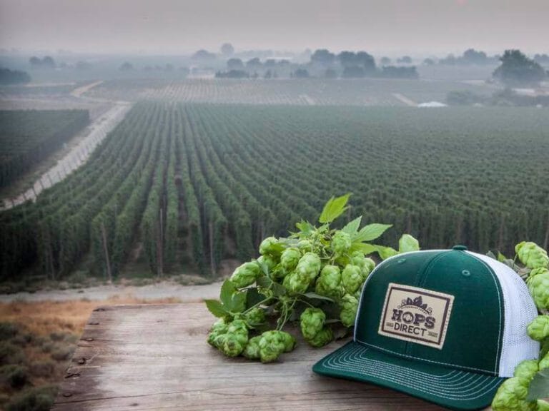 Hops Direct hat overlooking a field of hops