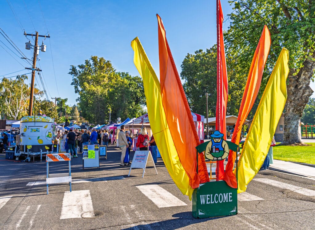 Colorful street fair with flags and vendor booths.