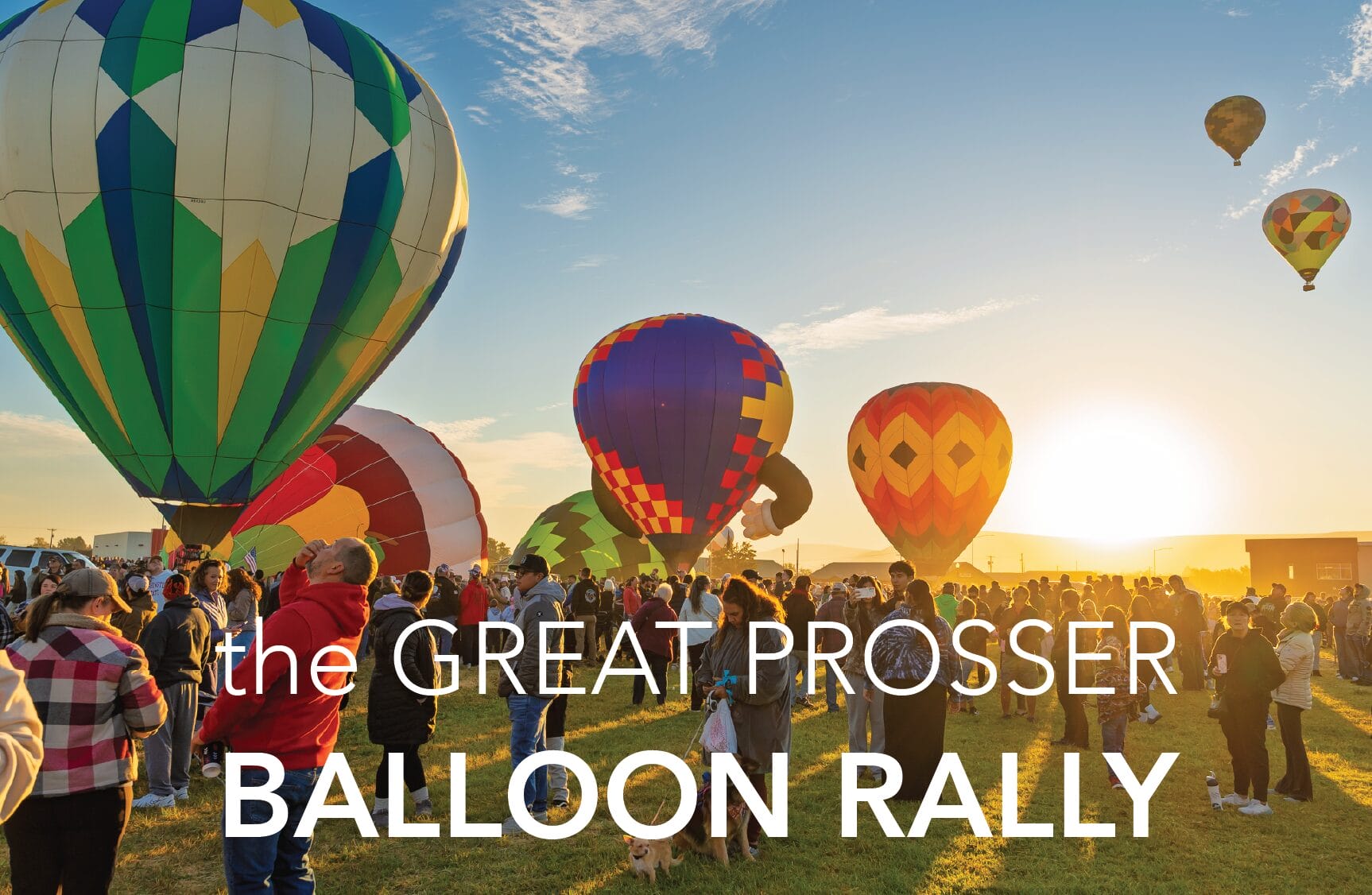 Colorful hot air balloons at sunrise rally.