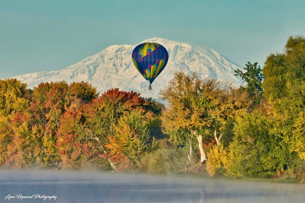Colorful hot air balloon over autumn trees and snowcapped mountain.
