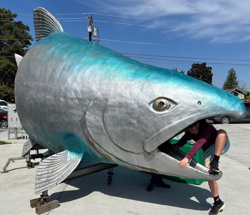 Person climbing out of giant fish sculpture's mouth.