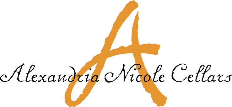 Logo with stylized 'A' and text