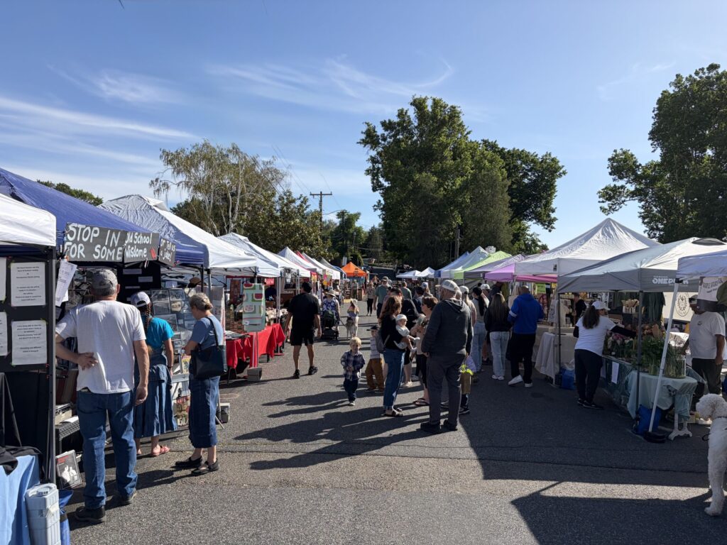 Crowded outdoor street market with vendor tents