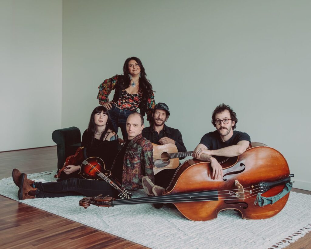 Five musicians posing with acoustic instruments indoors