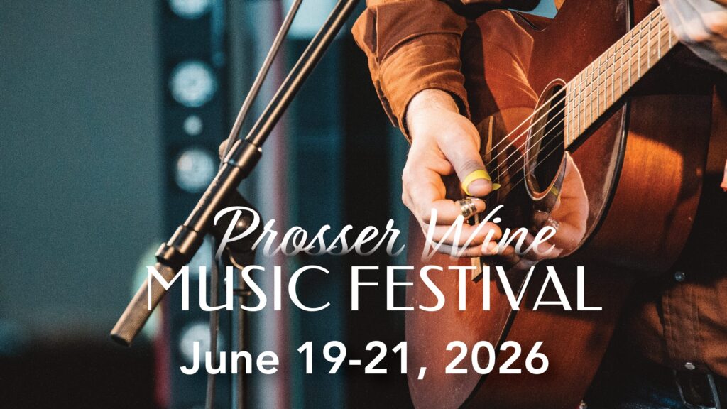 Guitarist performing at Prosser Wine Music Festival
