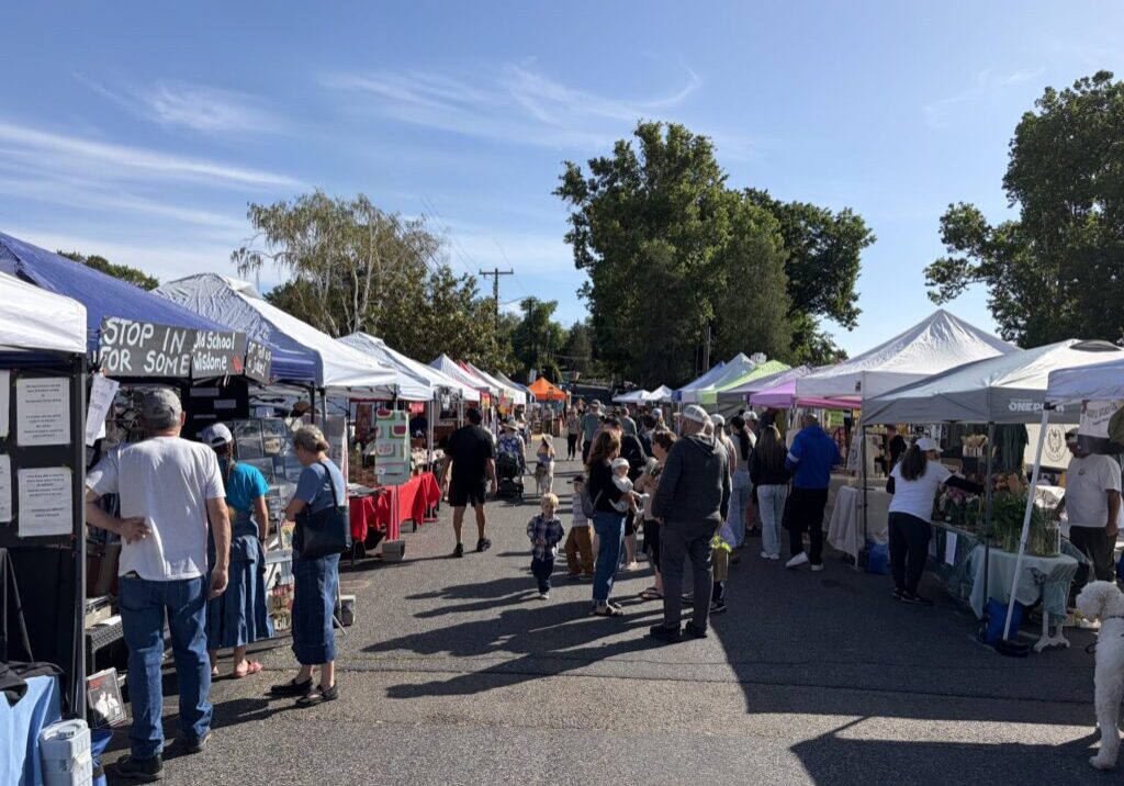 Crowded outdoor street market with vendor tents