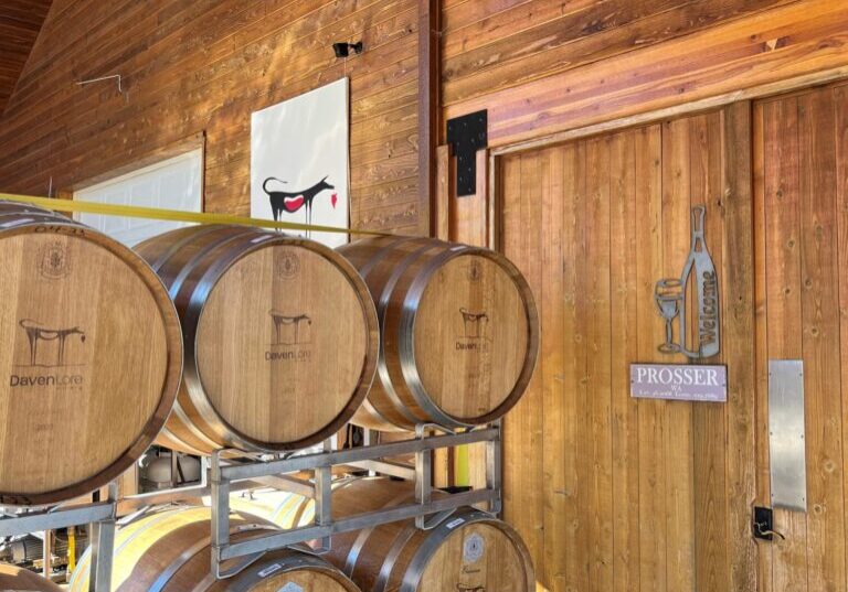 Wooden barrels stacked in a rustic room.