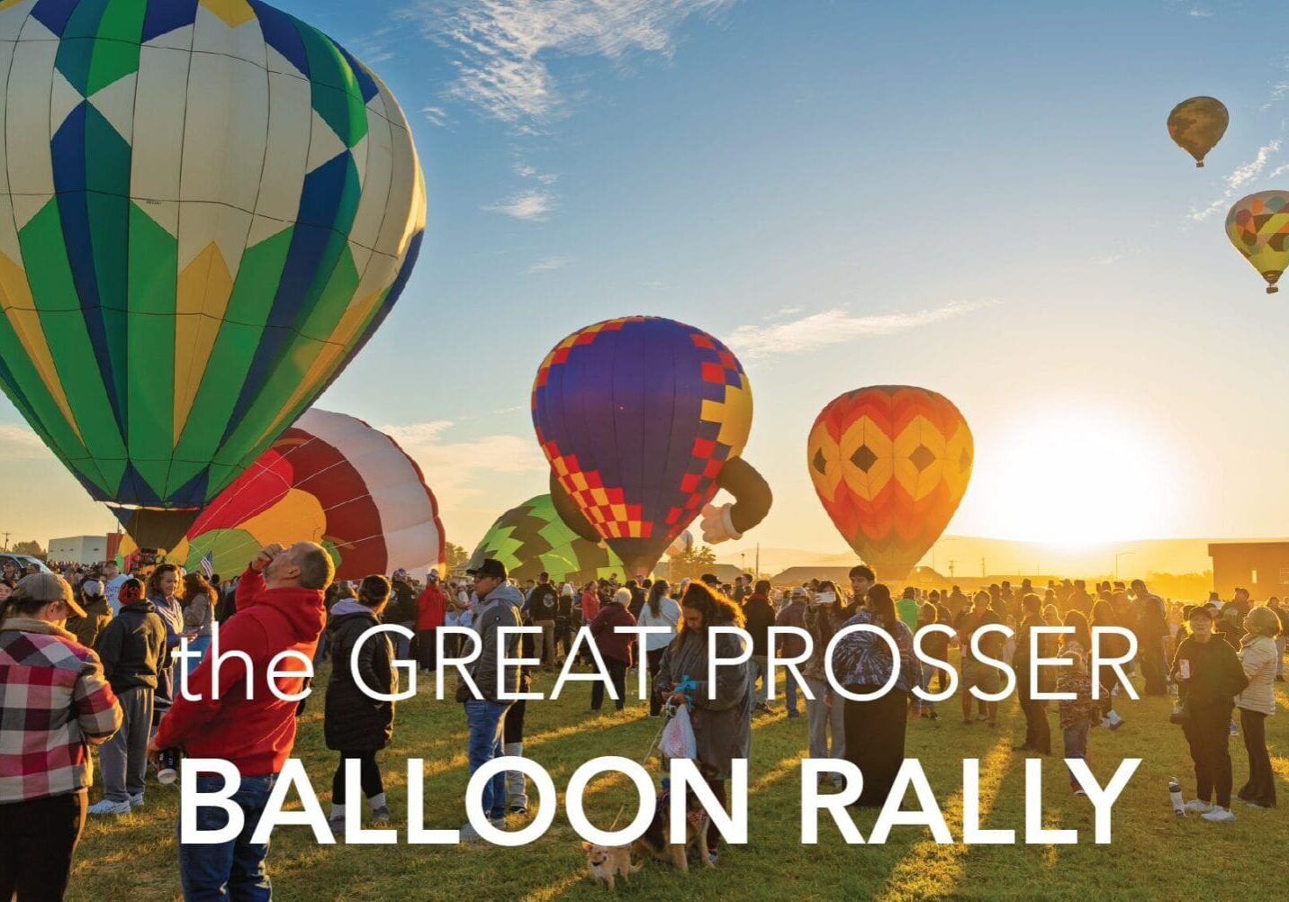 Colorful hot air balloons at sunrise rally.