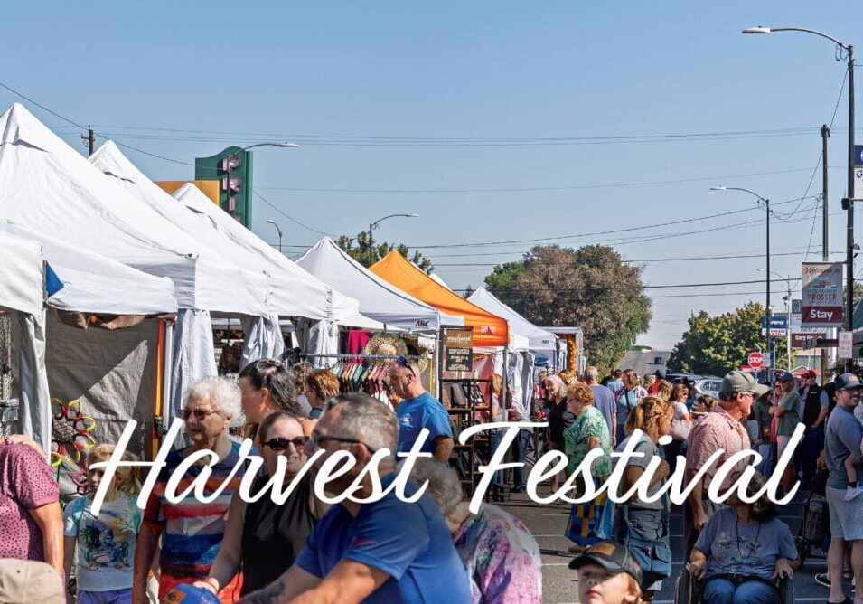Crowded street at Harvest Festival with tents.