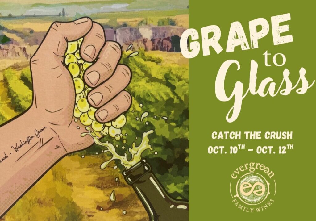 Hand squeezing grapes near vineyard for winemaking event.