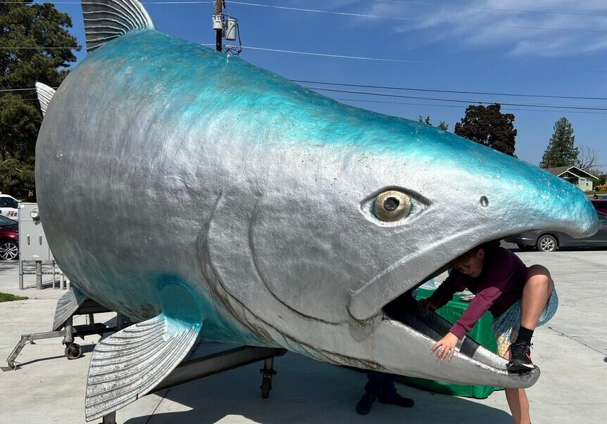 Person climbing out of giant fish sculpture's mouth.