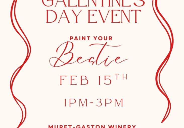 Galentine's Day event invitation at winery, Feb 15.