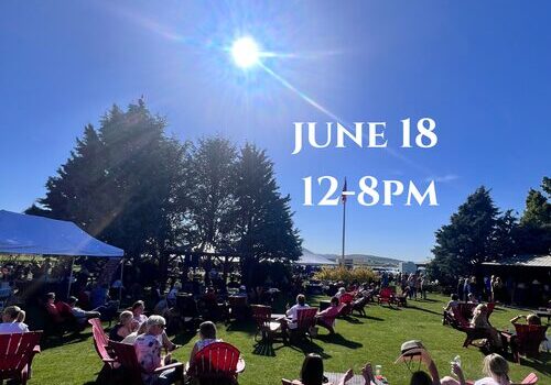 Outdoor summer market with sunny sky