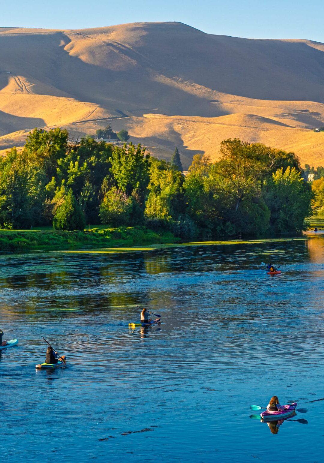 Kayakers paddling on a calm river with hills.