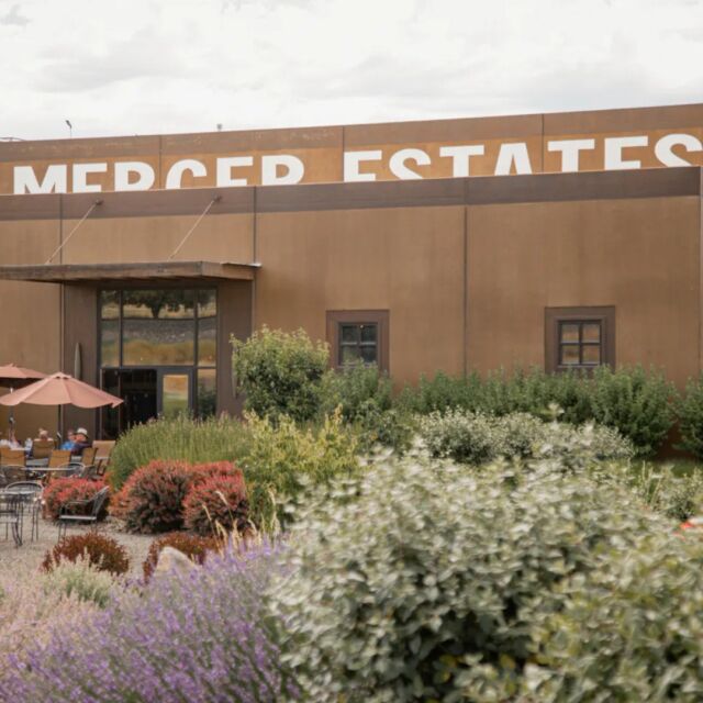 Prosser Spring Barrel Weekend is April 25-27! Come find us at 3100 Lee Rd for self-guided tours through our production facility and barrel samples alongside new releases with our winemaking team. 

Head to the #linkinbio to make a reservation. Walk-in's are welcome!

#MercerWine #ProsserSpringBarrel