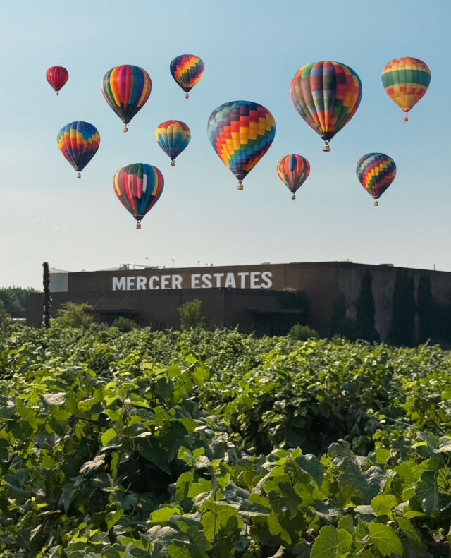 🎈Prosser Balloon Rally Weekend 2025🎈This weekend,  Fri, Sept 26 – Sun, Sept 28⁠
⁠
📍 Prosser Airport & Downtown Prosser⁠
🌅 Sunrise Hot Air Balloon Launches:⁠
Fri ~6:45 a.m.⁠
Sat ~6:45 a.m.⁠
Sun ~6:45 a.m.⁠
🍂 Harvest Festival in Downtown Prosser all weekend long!⁠
⁠
Don’t miss the magic of balloons filling the skies + festival fun in the heart of Prosser.⁠
⁠
Stop by our tasting room for a glass of wine and walk through Carma Vineyard while looking at the balloons in the sky! Head to the link in our bio to make a reservation today!⁠
⁠
#MercerWine