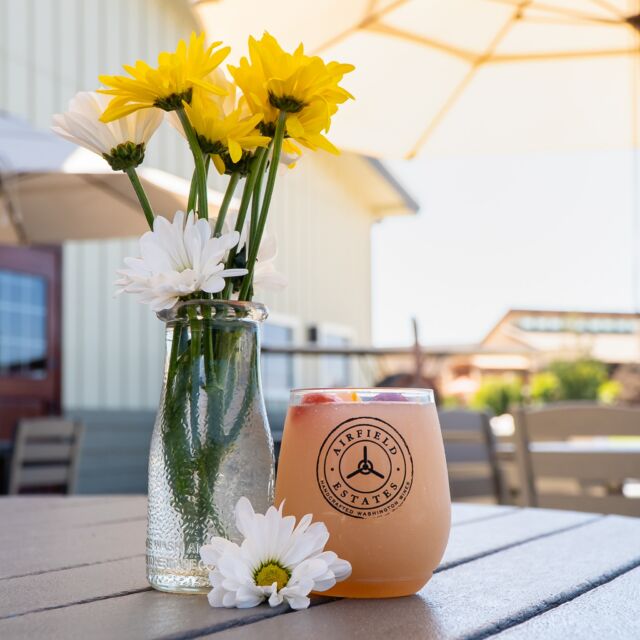 Meet your new weekend obsession: the Mango Sangria Slushy 🍹☀️🥭 

This frozen blend of Pinot Gris, Riesling, juicy mango, and fresh fruit is summer in a cup—and it just won 2nd place at the Art Walk & Wine Gala Sangria Contest! 🥈

Available this weekend only at our Prosser Tasting Room—and yes, you get to keep the tumbler. Come sip, chill, and repeat.

#newslushy #sangria #sangriaslushy #weekend #joinus #airfieldwines #patio #summer #summerdays #weekends #prosser #tourprosser #summerinacup #frozendrink #saturday #saturdayvibes