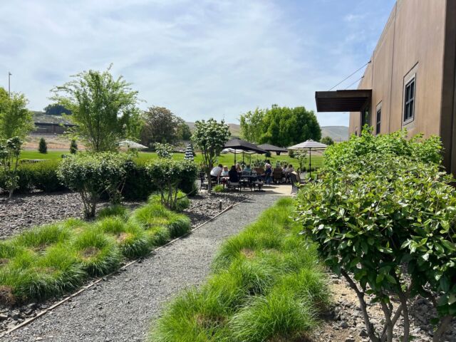 Exciting news!! Starting Friday, we are going to have 'Food Truck Fridays' EVERY Friday at our Prosser tasting room! Join us for delicious food from various local food trucks. Each Friday will feature a different food truck. We'll have happy hour specials on select wines by the glass and Varietal Beer.

3100 Lee Rd, Prosser, WA

If you're a food truck and interested in joining us, please reach out to info@mercerestates.com 

Schedule: 
June 20: Big Stick BBQ
June 21: Big Stick BBQ (joining us both Friday and Saturday)
June 27: Big Stick BBQ
June 28: Big Stick BBQ (joining us both Friday and Saturday)
July 4: TBA
July 11: Mama Juanita's Tacos
July 18: Big Stick BBQ
July 25: Opa Food Truck
August 1: TBA
August 8: TBA
August 15: TBA
August 22: Opa Food Truck