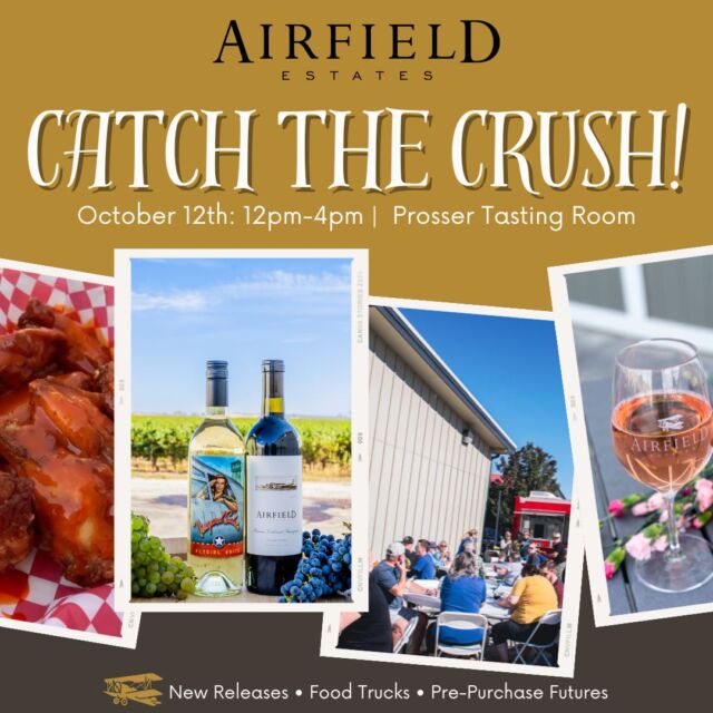 Catch the Crush - Saturday October 12th! 🍇🍷

Join us for wine tastings featuring two exciting new releases: the crisp 2023 Flygirl and the bold 2021 Reserve Cabernet Sauvignon. Sip on refreshing frosés or grab a cold beer, And of course, our food trucks will be ready to serve everyone:
🌮 Wild Taco 2 + 🍗 Gray's Wings & Things

This weekend only, pre-purchase futures of our 2024 Rosé—and don’t miss your chance at the almost-sold-out 2023 Rosé!

Plus, shop the latest fall styles at the Sister to Sister Boutique pop-up!

Great food, delicious drinks, and fun await—don’t miss out!

#airfieldwines #catchthecrush #tourprosser #drinkwine #prosserwa #tastingroom #grapestompweekend #winetasting #frosé #popupshop #sistertosister #grayswingsandthings #tacos #foodtrucks #fun