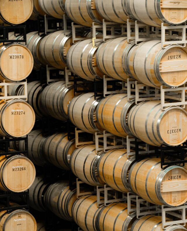 Behind every great glass is a room that looks like this.⁠
⁠
Rows upon rows of oak barrels, quietly doing their magic. When you visit our Prosser tasting room, you're not just coming for a flight — you're stepping into the full story. From vine to barrel to bottle, it's all happening right here, and you get a front-row seat. ⁠
⁠
This is what makes Prosser special. A working winery, a stunning patio, vineyard views, and the kind of deep-rooted history that you can actually taste in every pour. Our family has been farming this land for generations — one of the longest-standing farming families in Washington State — and that legacy lives in every barrel stacked in this room.⁠
⁠
Not many places let you see the whole picture. We do.⁠
⁠
Visit us this spring while the vineyards are blooming and the valley is at its most beautiful. Walk the grounds. Explore the winery. Sit on the patio. Taste wines made by people who have given their lives to this land.⁠
⁠
This is more than a tasting room. It's a destination. ⁠
⁠
Don't miss it. Link in bio to plan your visit. 🔗⁠
⁠
#MercerWine