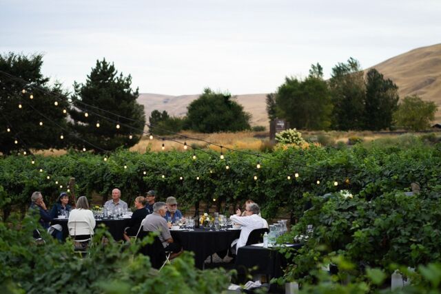 Today is the day💫 Join us in Prosser for the 20th Anniversary Summer BBQ in the vineyard! We will have food trucks, food and wine pairings, fire pits, live music, a photo booth, & good company!
⁠
#MercerWine