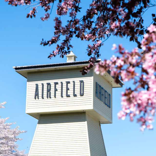 Spring looks beautiful at Airfield 🌸
Blue skies, blooming trees, and the simple beauty of the season.

As the days grow warmer, it’s the perfect time to plan your visits—events are being added to the calendar, and we have so much in store. We can’t wait to share it all with you.

#airfieldwines #tastingroom #prosserwa #woodinvillewa #vancouverwa #spring #blueskies #drinkwine #visitus #planyourvisit #tourprosser #tourwoodinville #tourvancouverwa #springtime #Cheers
