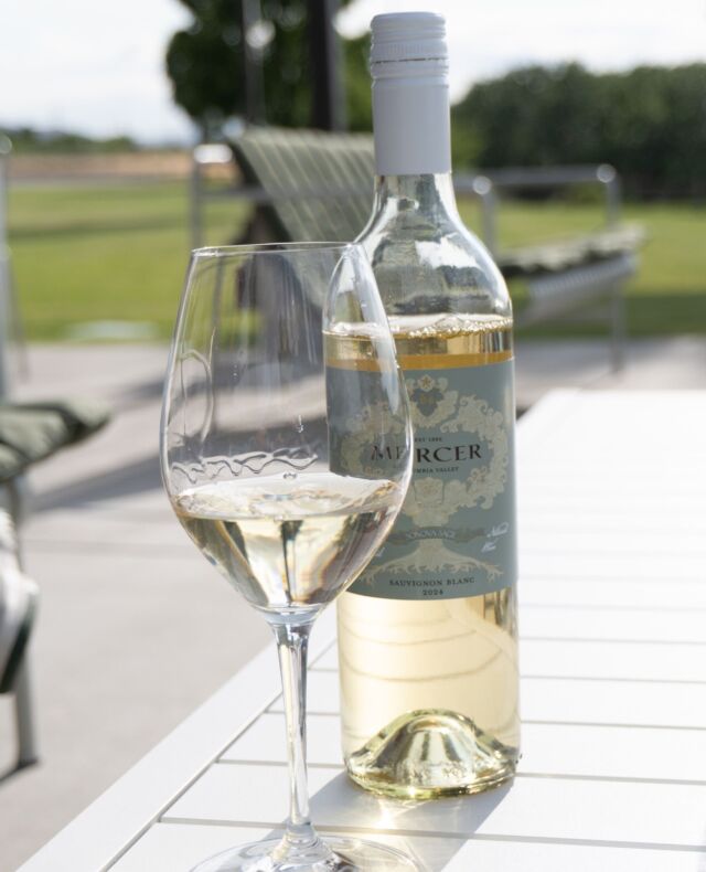 Another golden hour in wine country—cheers from Prosser.⁠
⁠
Thanks to our neighbors tirriddis for sharing this photo!⁠
⁠
Sonova Sage Sauvignon Blanc--wild-ferment, made with organic grapes, only available at our tasting rooms. ⁠
⁠
#MercerWine