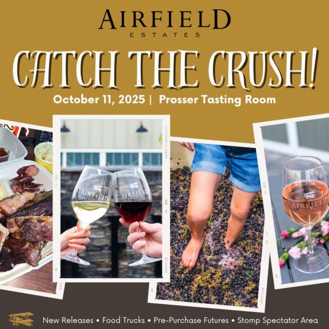 🍇 Catch the Crush Weekend at Airfield Estates!

Join us on Saturday, October 11, 2025 – Harvest is in full swing, and we’re celebrating the season! Join us at our Prosser Tasting Room for a weekend filled with wine, food, and fall festivities.

Sip your favorite Airfield wines, watch the excitement of grape stomping, and enjoy delicious food from Porky’s Smoked Chicken & Ribs (BBQ) and Ready & Out (Mexican)—both on-site for the fun!

🍷 Wine specials, great food, and harvest cheer await.
👣 Want to stomp? On-site registration available—first come, first serve!

#catchthecrush #foodtrucks #grapestomping #stompspectators #winespecials #wine #grapes #winetasting #airfieldwines #tastingroom #tourprosser #airfieldevents #prosserwa #cheers